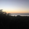 Seascape Roatan